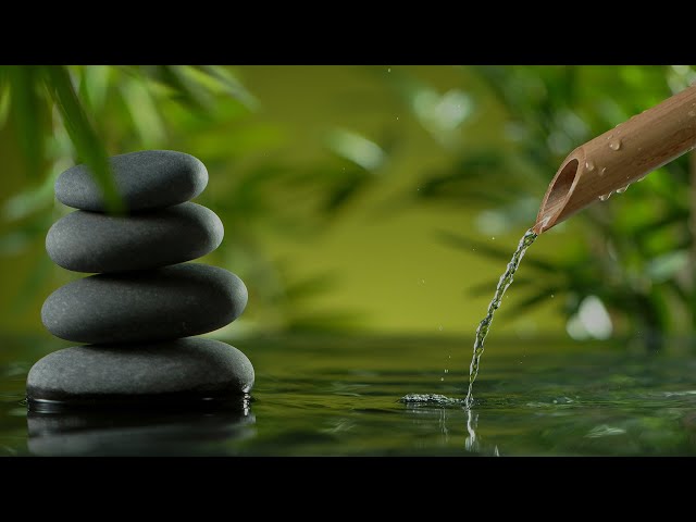 Morning Meditation - A Happy and Relaxed Start to Your Day!