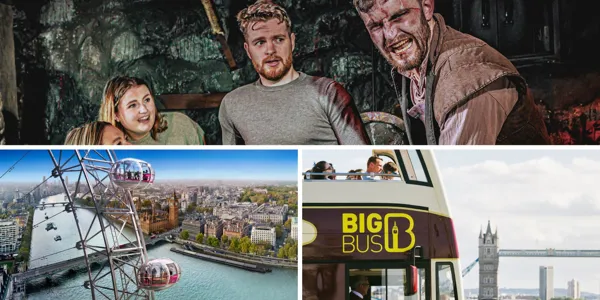 After Dark Experience