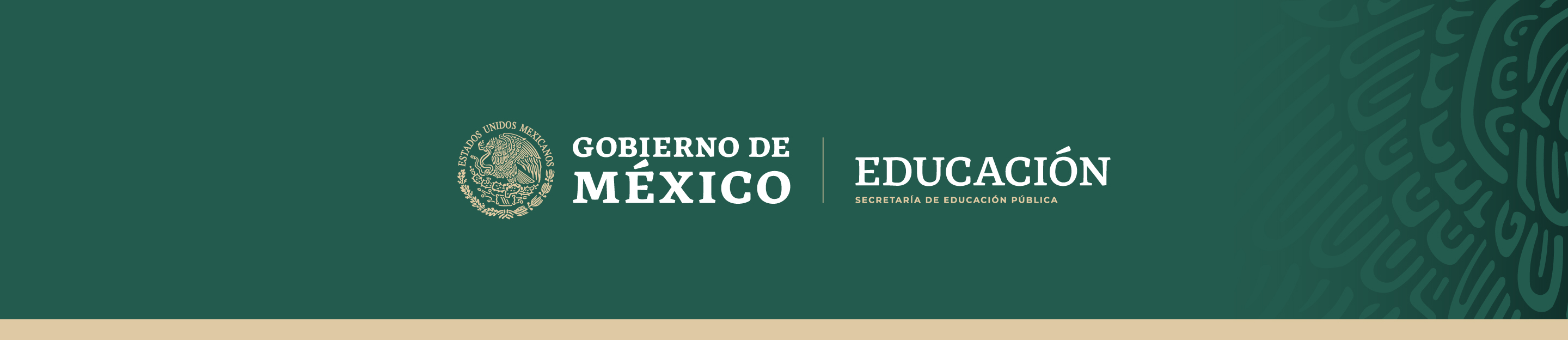 Gobierno de México Educación