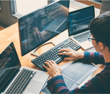Web Development